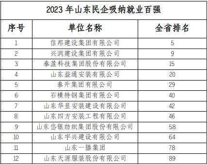 安泰集团民营企业500强,2023山东民营企业500强榜单