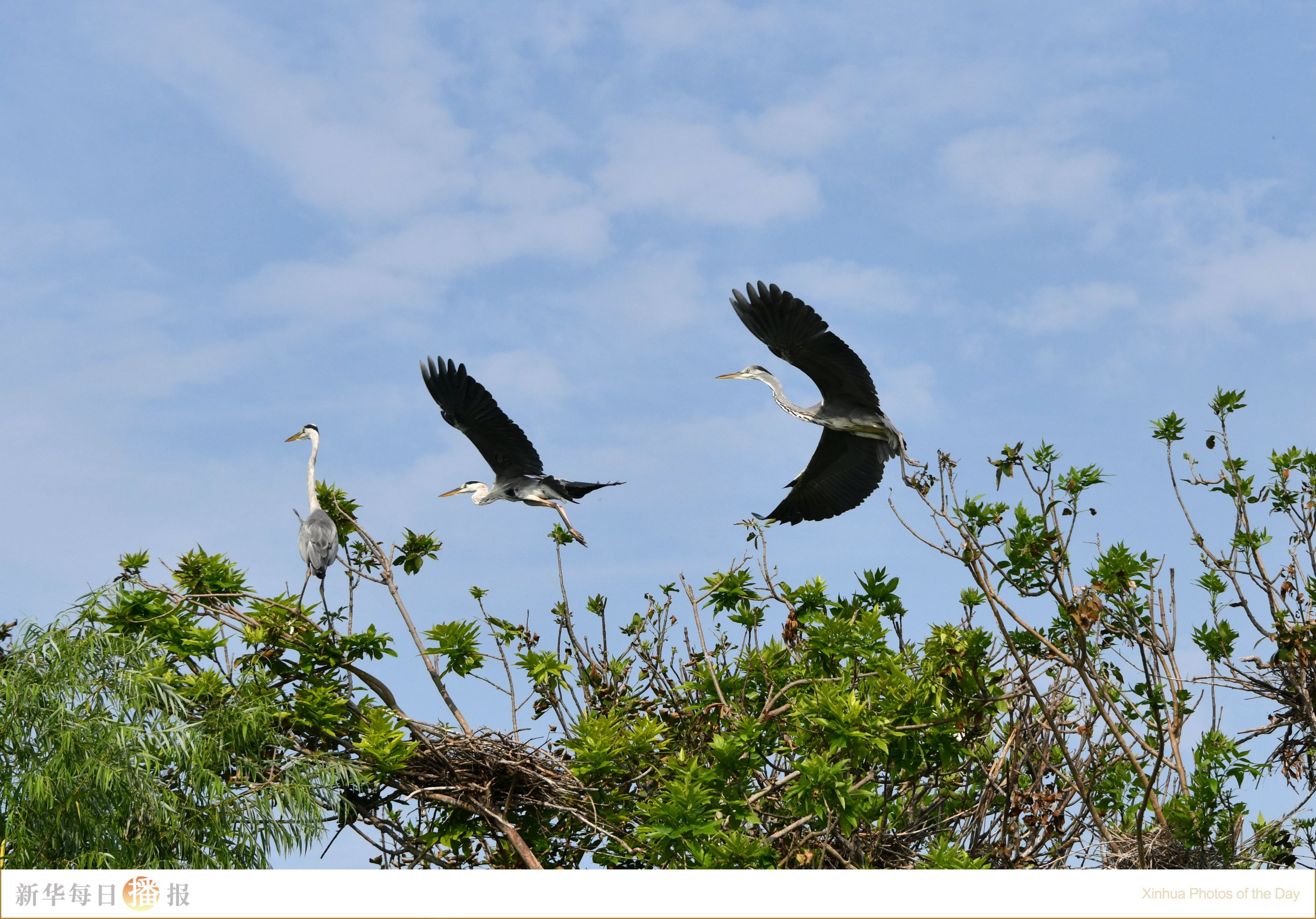 新华每日播报|8月9日