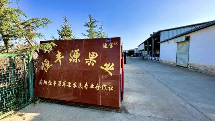 温泉故事情节视频,温泉故事大全