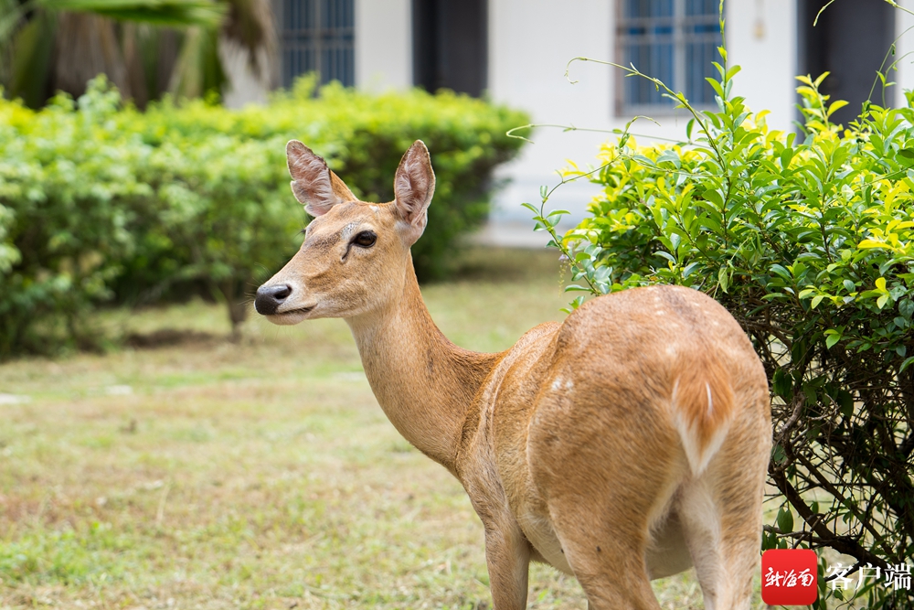 醉美东方园林游记,醉美东方城