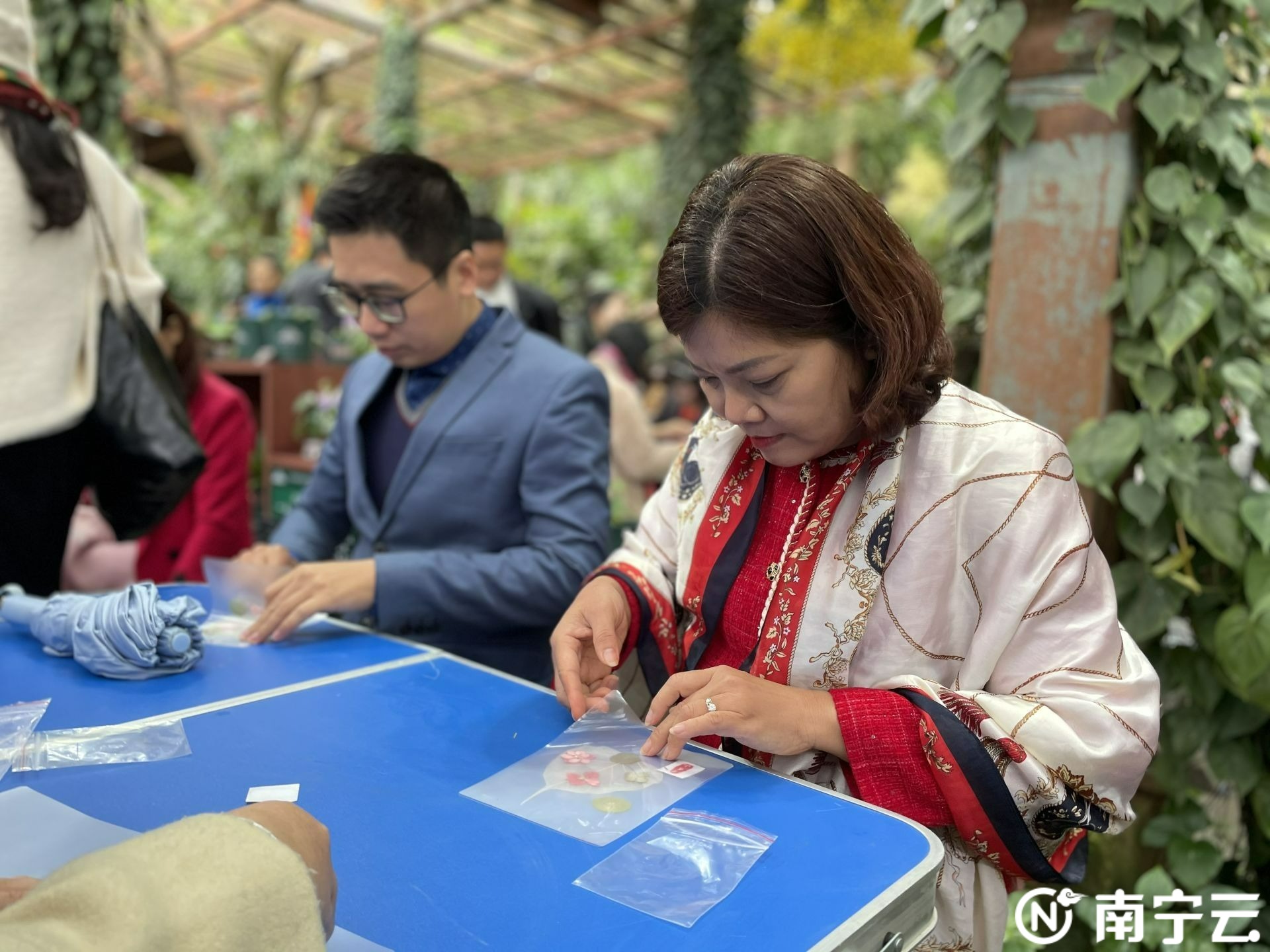 越南旅行商来广西旅游,广西南宁文旅游玩