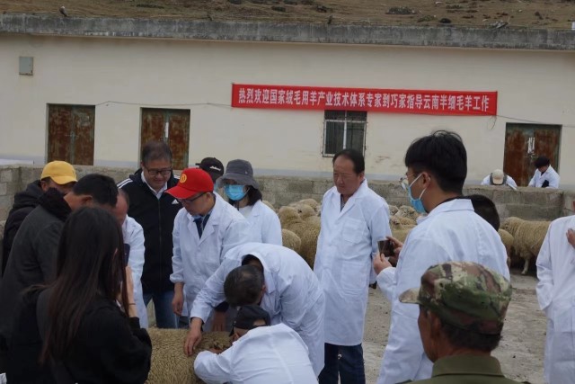 新春走基层乡村旅游让日子更红火,新春走基层扶贫致富