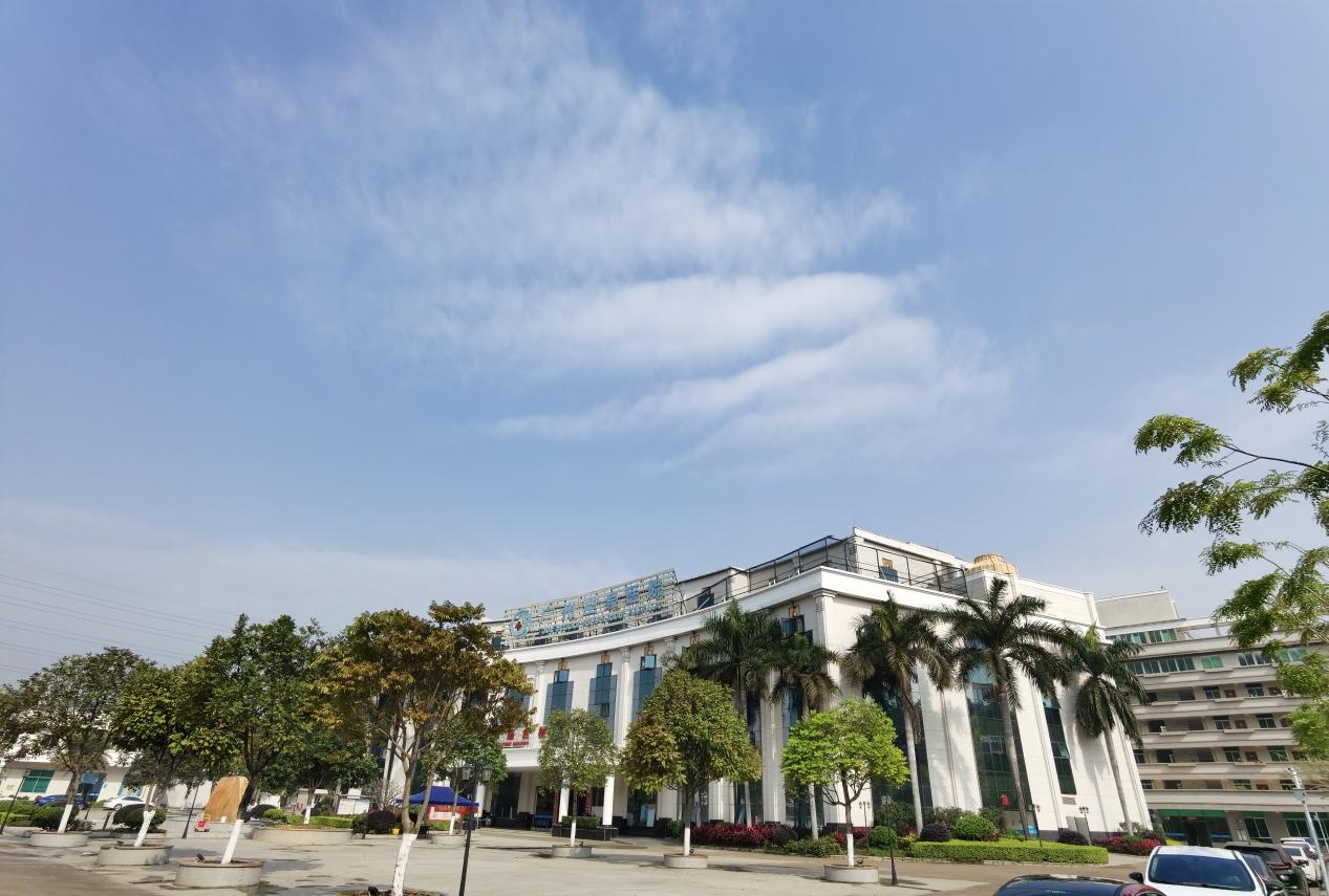 泉心全意护花暖心——广州圣泉医院坚决守护花都人民心理健康