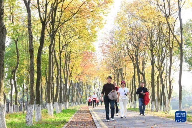 冬景迷人,冬景如画