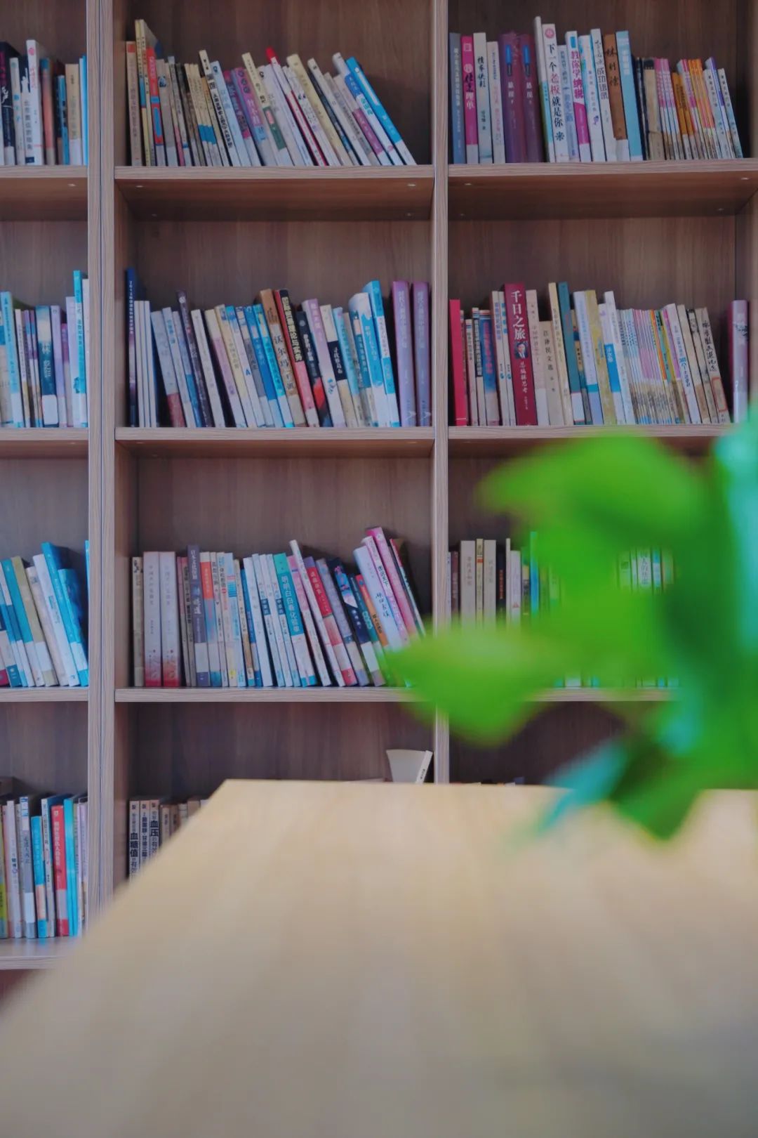 “i人”or“e人”？MBTI充电指南来袭，在华新尽情做自己！