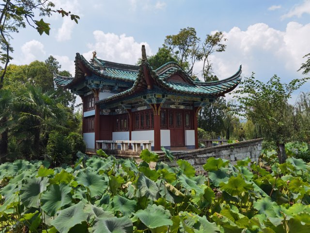 春城晚报生活节,春城晚报开屏新闻生活节