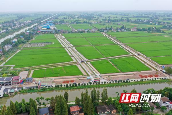 涔℃剚璧嬭兘,涔℃剚鏂囧寲璧嬭兘涔℃潙鎸叴