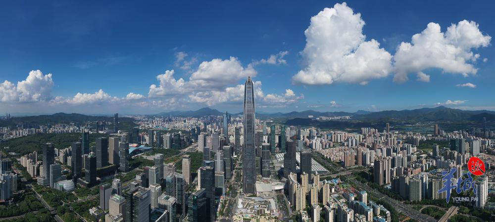 民营经济税收问题,2022年深圳民营经济税收