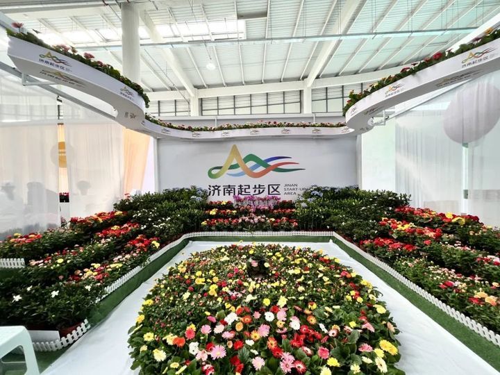 游花博泡温泉打卡,冬天商河温泉一日游