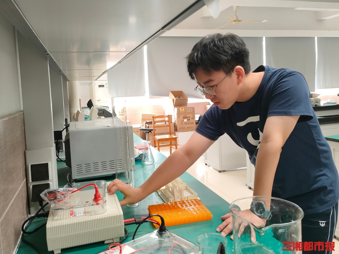 长沙县一中全校第一,2020长沙市一中高考第一名