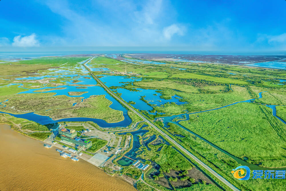 东营市高质量发展考核,东营经济工作会议解读