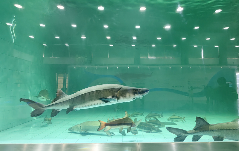 十年禁渔看长江常德,十年禁渔看长江