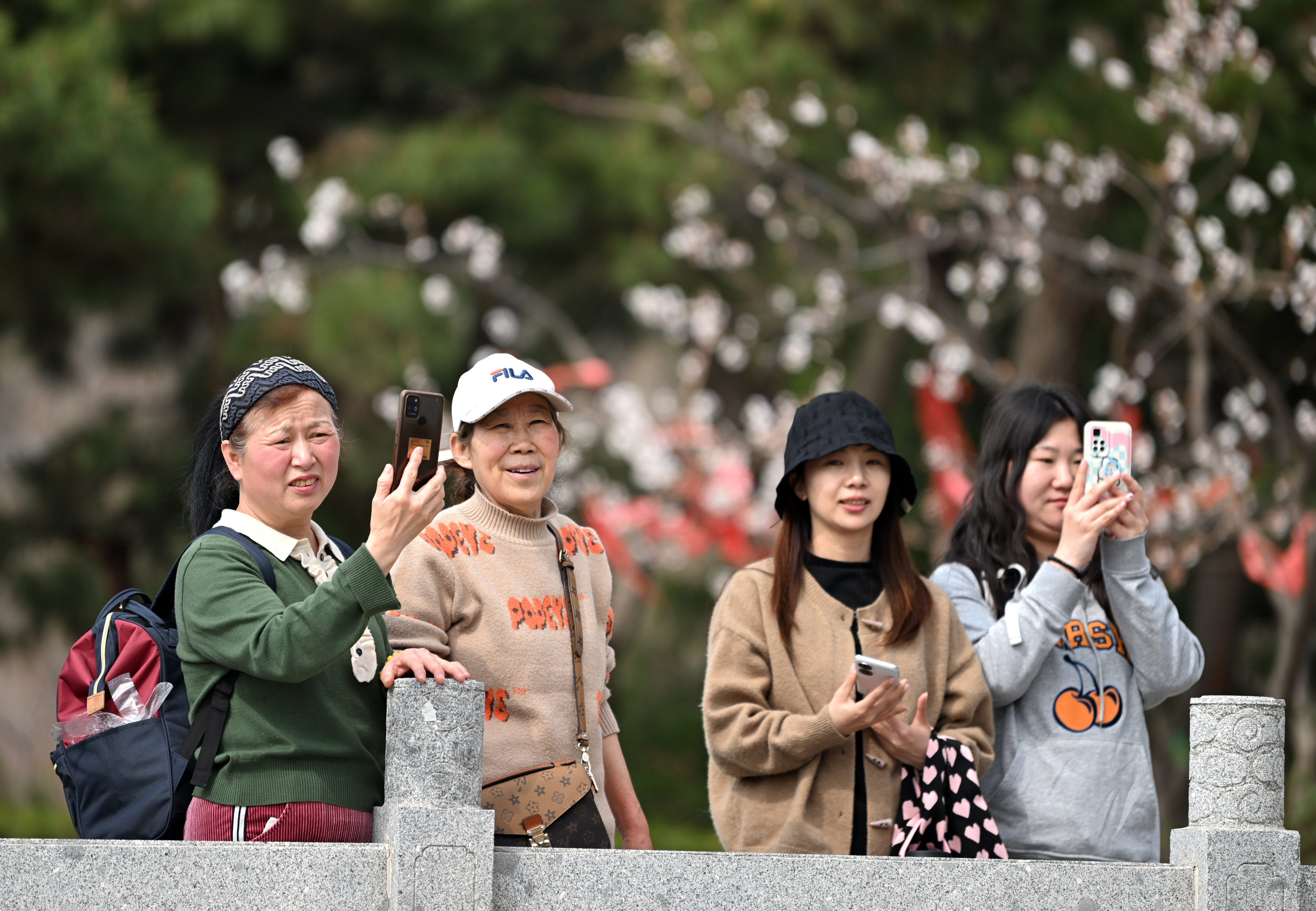 天津西青踏春,天津盘山踏青