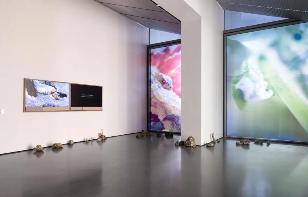 新当代的“离岸”探索，艺术的今日变革