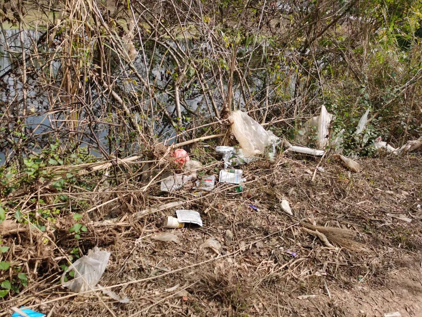 开屏帮你问专家｜如何应对微塑料这个“隐形的健康杀手”？